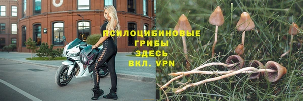 меф Балахна
